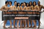 PETA campaigns for free elephants