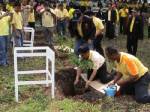 ชาวหนองคายร่วมปลูกต้นไม้ถวายพระราชินี