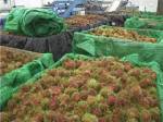อบจ.จันทบุรีมีมติโอนงบ 30 ล้านแก้ปัญหาผลผลิตทางการเกษตร