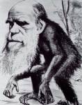 150 ปี "ทฤษฎีวิวัฒนาการ" พลิกแนวคิดวิทยาศาสตร์ พลิกประวัติศาสตร์สิ่งมีชีวิต