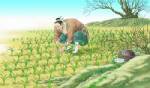 ย่าเหมียวจู้จ่าง (&amp;#25568;&amp;#33495;&amp;#21161;&amp;#38271;) : ดึงต้นกล้าให้โต