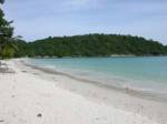 ภูเก็ตเลือก “เกาะราชา” นำร่องแก้ปัญหาทรัพยากรธรรมชาติ-ปะการังเสื่อมโทรม