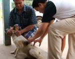 สธ.เผยคนไทยสูญเงินป้องกัน-รักษาพิษสุนัขบ้าปีละกว่าพันล้านบาท