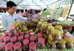 Govt’s stimulus package considered as campaign for votes