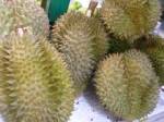 Fruit growers urged to develop quality for export
