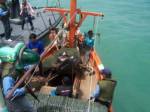ศรชล.เขต 3 ฝึกซ้อมปฏิบัติการตรวจค้นจับกุมการกระทำความผิด