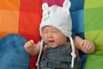 Homosexuality supports decreasing birth rate