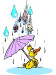 Warning of heavy rain, strong wind