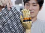 นักวิจัยปลาดิบปูทาง"e-skin"ให้หุ่นยนต์
