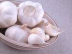 Garlic, NGV to be proposed as controlled products
