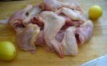 Ordering bird flu watch in all provinces