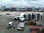 Private Jet Terminal to target hi-so tourists