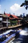More boat passengers expected after fare cuts