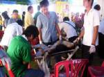 อุบลฯประกาศสงครามกับโรคพิษสุนัขบ้าลดค่าเสียหายปีละกว่าพันล้าน