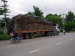 ลาวโอดไทยเก็บภาษีนำเข้าสินค้าเกษตรสูง ขอเหลือศูนย์เหตุไม่เอื้อป้อนพืชพลังงานทดแทน