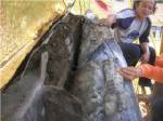 วธ.หนุนบูรณะ “พระธาตุดอยสุเทพ” กรมศิลป์เผยเตรียมงบไว้กว่า 100 ล.