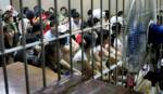 Foreign ministry has no plan to build refugee shelter