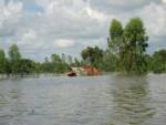 ชาวบ้านหัวใสรวมกลุ่มบริการเรือรับจ้างช่วงน้ำท่วม สร้างรายได้งาม