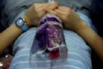 In latest Thai fad, a taste of death brings hope for better life