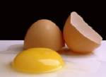 อย.เก็บไข่ไก่ตรวจหาเมลามีน-ประสานปศุสัตว์ตรวจเข้มอาหารสัตว์