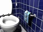 Public health ministry gears up to develop toilets