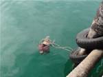 พบศพเฒ่านิรนามลอยติดท่าเทียบเรือตำบลแสมสาร