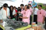 นครปฐมเปิดงานสหกรณ์ผู้ผลิตพบผู้บริโภคครั้งที่ 11