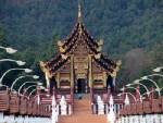 ททท.ชวนเที่ยว “งานราชพฤกษ์รวมใจภักดิ์ รักพ่อหลวง”
