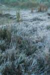 Warning of declining temperatures in all regions