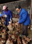 จีนคุมเข้มหวัดนกระบาด หลังผู้ป่วยตายแล้ว 2คนในเดือนเดียว
