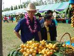 ชาวสวนมะยงชิดพิจิตรหวั่นผลผลิตล้น วอนรัฐเร่งหาตลาดระบายด่วน