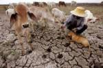Gearing up to survey drought areas to help people