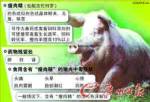 เครื่องในหมูทำพิษ ชาวจีนล้มป่วยอย่างน้อย 70 ราย