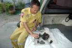 ผงะ! คนงานพบกะโหลกมนุษย์ถูกฝังพร้อมเหรียญสมัย ร.8