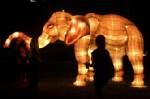 Lantern festival