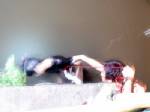 โจ๋ 20 ถูกแทงตกคลองดับ! เหตุแค่เพื่อนเบิ้ล จยย.เสียงดัง