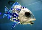 Thais consume too little fish despite its various benefits
