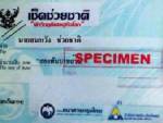 ทันใจ! ห้างดังพาเหรดตั้งบูทถึงลานคนเมือง เตรียมดูดเงินจากเช็คช่วยชาติ