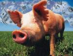 Expensive pork scares Thais more than swine flu