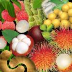 Fruit and personality