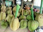 "งานทุเรียนนนท์และล่องเรือไหว้พระ 9 วัด" 22-31 พ.ค. 52