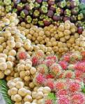 ตราดระบายผลไม้สู่กัมพูชา-เวียดนาม-ลาว-จีน กว่า 6,500 ตัน