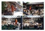 วัดลำปางวอนผู้ใจบุญช่วยบริจาคอาหารสัตว์