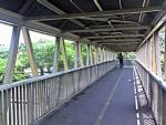 “โจรสะพานลอย” ชิงทรัพย์พนักงานสาว!