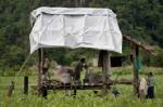 Karen refugees in Thailand