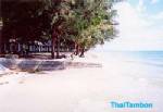 ก.พลังงานเล็งสำรวจการก่อสร้างโรงไฟฟ้านิวเคลียร์ ต.ไม้รูด จ.ตราด