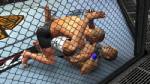 THQ ยันมีแผนส่ง UFC โชว์ศิลปะการต่อสู้บนวี และเครื่องพกพา