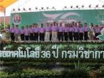 กรมวิชาการเกษตรจัดงานตลาดนัดสินค้าเกษตร ของดี 5 จว.ชายแดนใต้