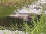 พบศพสาวนิรนามถูกฆ่าเปลือยทิ้งคลองริม ถ.บางนาตราดย่านบางปะกง