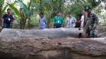 ยึดอีกไม้เถื่อนเมืองงาว รอส่งนายทุนชี้มีตำรวจพัวพัน
